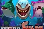 Razor Shark — Rajabets Casino