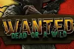 Wanted: Wild — Rajabets Casino