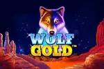 Wolf Gold — Rajabets Casino